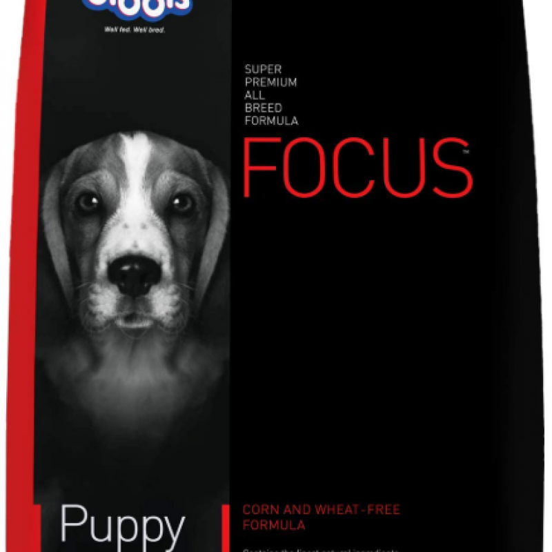 Drools Focus Premium Puppy Dry Dog Food, Chicken Flavor 1.2 kg Pack