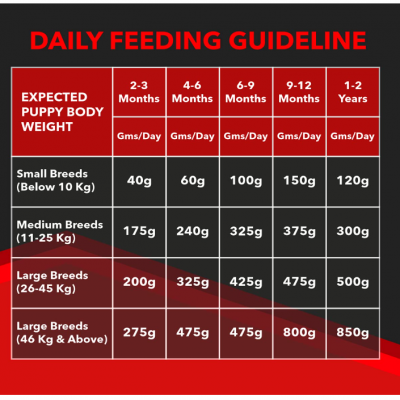 Drools Focus Premium Puppy Dry Dog Food, Chicken Flavor 1.2 kg Pack