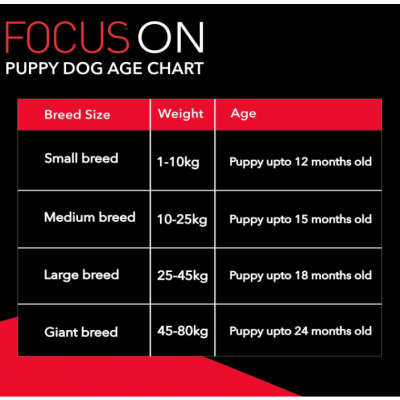 Drools Focus Premium Puppy Dry Dog Food, Chicken Flavor 1.2 kg Pack
