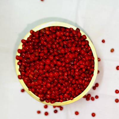 Manjadi Kuru Red Bead  Tree seeds