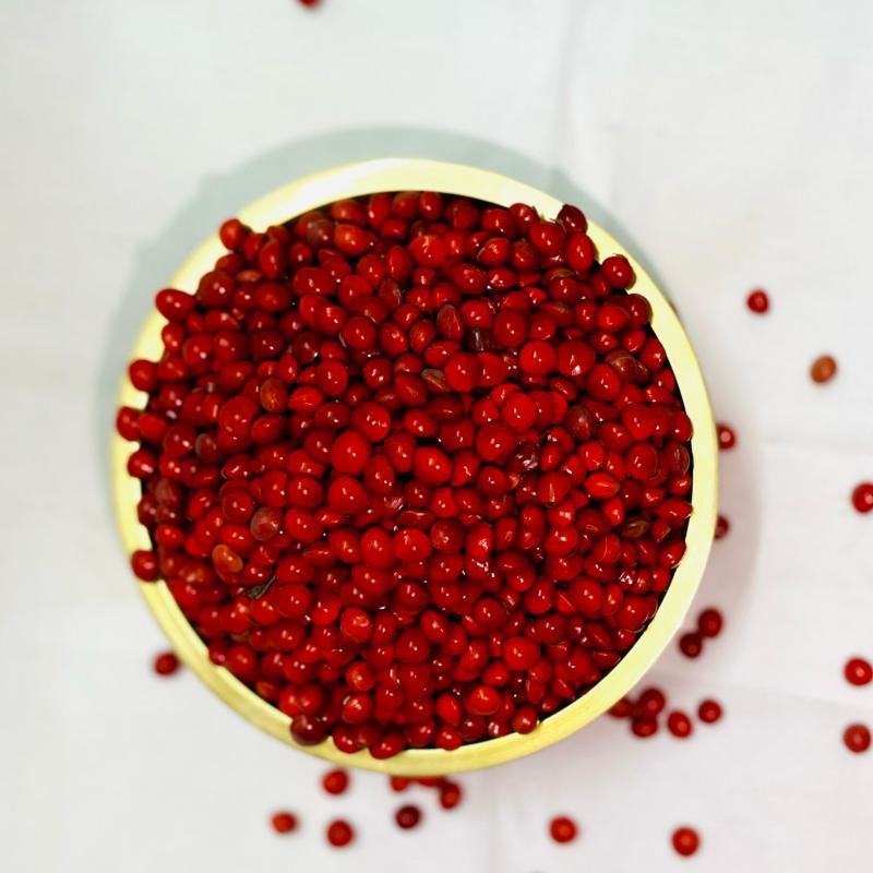 Manjadi Kuru Red Bead  Tree seeds