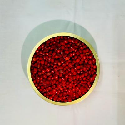 Manjadi Kuru Red Bead  Tree seeds