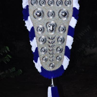 Nettipattam silver - colored threads border