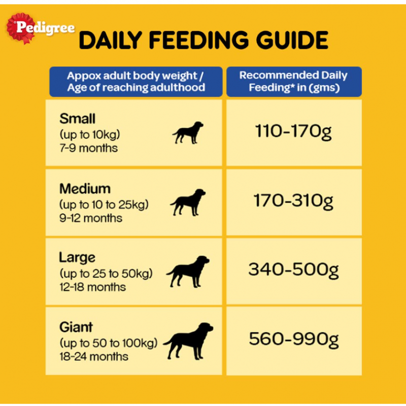 Pedigree Adult Dry Dog Food, Chicken & Vegetable, 1 kg Pack