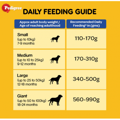 Pedigree Adult Dry Dog Food, Chicken & Vegetable, 1 kg Pack