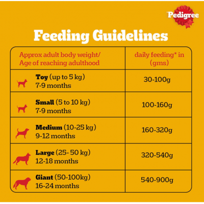 Pedigree Adult Dry Dog Food, Chicken & Vegetables, 1.2 kg, Contains 37 Essential Nutrients, 100% Complete & Balanced Food for Adult Dogs