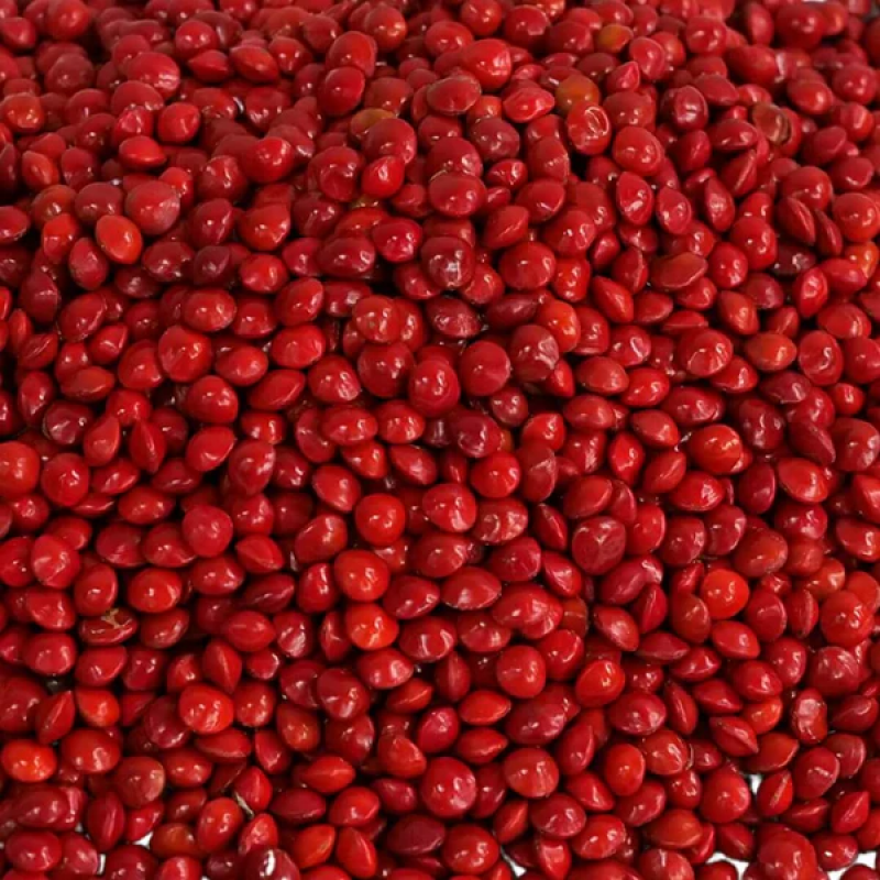 Arte House Manjady Seeds (Adenanthera Pavonina or Red Lucky Seeds) for Pooja Room and Vishu Kani-250 gm